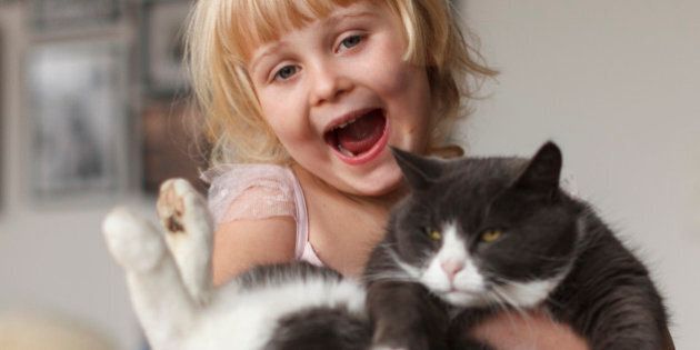 A happy smiling blond child holding a household cat in her arms.