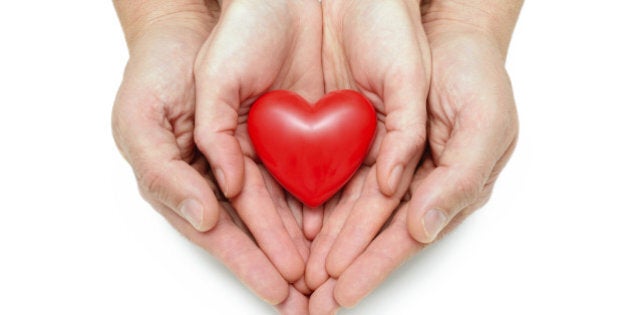 Red heart at the human hands isolated on white