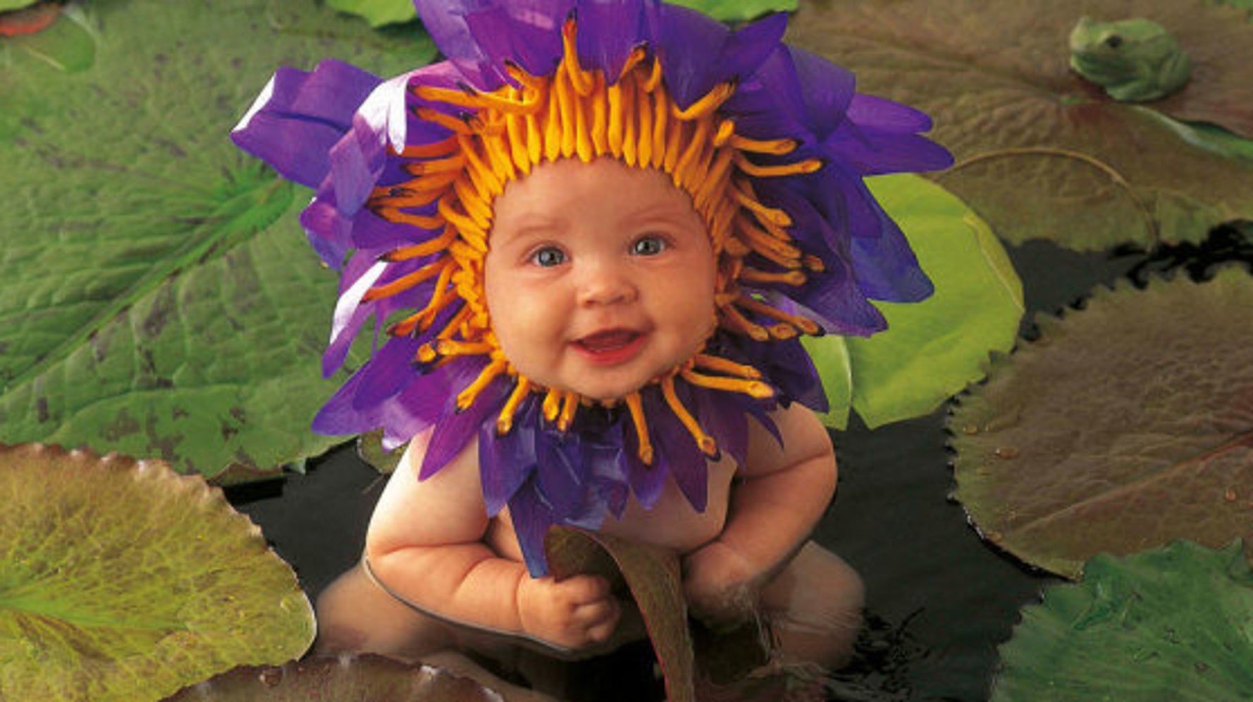 A Quoi Ressemblent Les Bebes Photographies Par Anne Geddes Aujourd Hui Video Huffpost Null