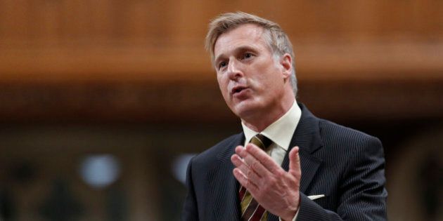 Canada's Minister of State for Small Business and Tourism Maxime Bernier speaks during Question Period in the House of Commons on Parliament Hill in Ottawa March 26, 2013. REUTERS/Chris Wattie (CANADA - Tags: POLITICS)
