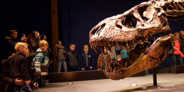 LEIDEN, Oct. 20, 2016 -- Photo taken on Oct. 20, 2016 shows a Tyrannosaurus Rex skeleton displayed during an exhibition at the Naturalis Biodiversity Centre in Leiden, the Netherlands. The Tyrannosaurus Rex skeleton is more than 13 meters long and 6,000 kilograms in weight.(Xinhua/Sylvia Lederer via Getty Images)