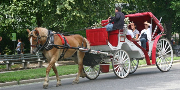 New York, USA-August 16, 2011: A horsedrawn carriage carries tourist through New York City's Central Park, a popular tourist destination in Manhattan.