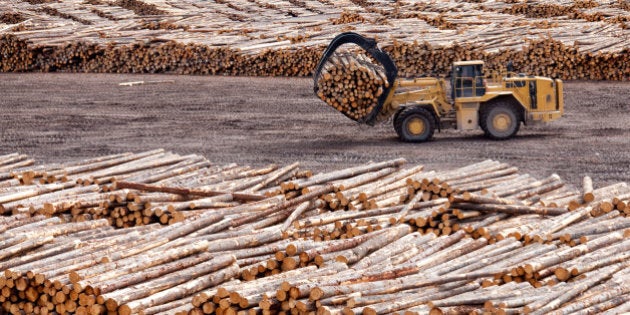 Logs at a sawmill. Lumber industry. Front-end loader hauling trees. Foresty. Industrial equipment. British Columbia's major industries include forestry, which is an economic driving in the western province. Pulp and paper, sawmills, and logging operations are located throughout the region.