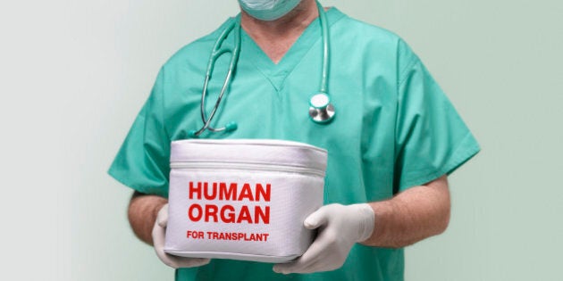 Surgeon with human organ for transplant