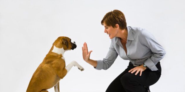 Woman with boxer dog