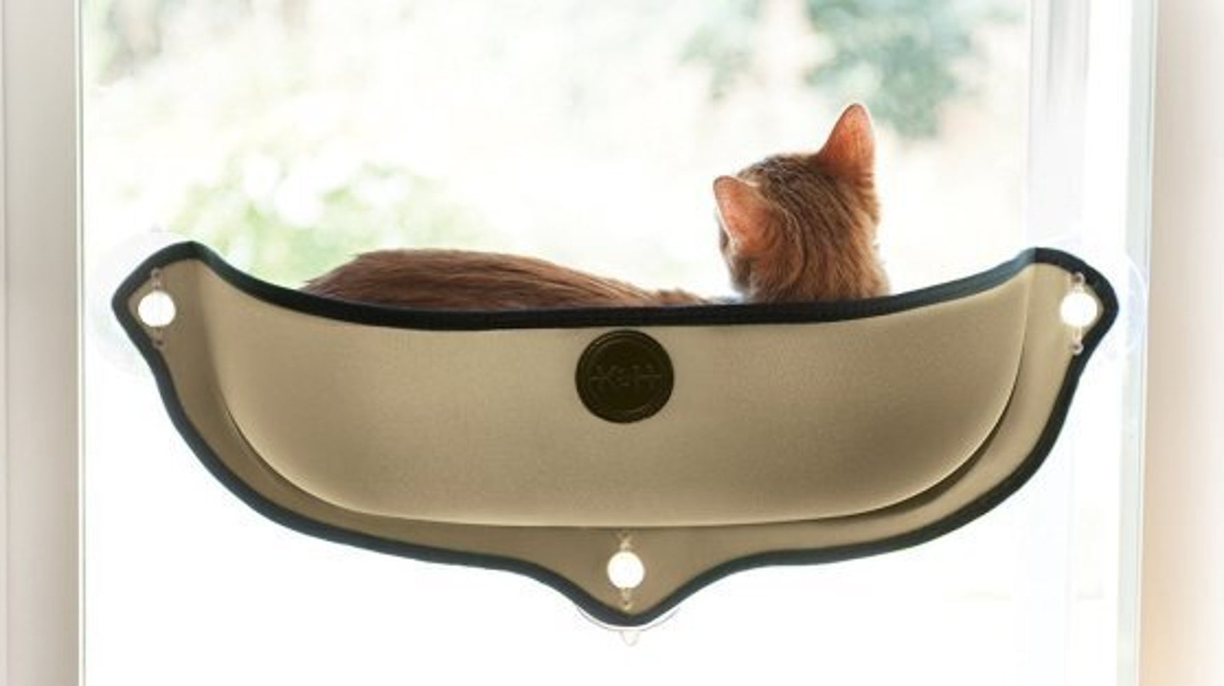 Un gadget génial pour amener vos chats en voiture