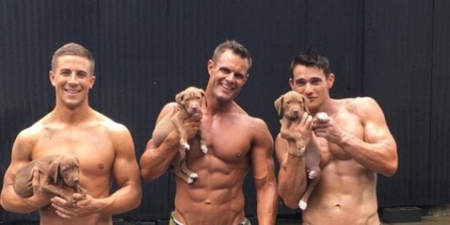 Des pompiers australiens torses nus avec des chiots, la recette parfaite de  ce calendrier (PHOTOS)