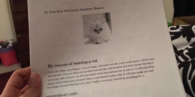 À onze ans, elle liste toutes les raisons d'avoir un chat pour convaincre ses parents d'en adopter un