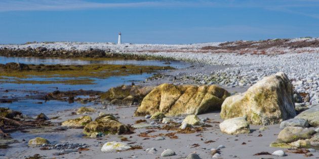 Image of the rocky beach with Cape Sable Light in the background. This island is just off the coast of Cape Sable Island, Nova Scotia.