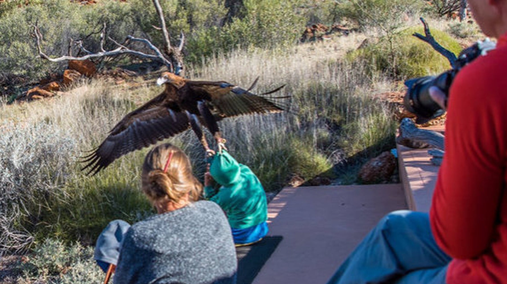 Un Aigle Essaie D Enlever Un Enfant Pendant Un Spectacle D Oiseaux En Australie Photos Huffpost Null Un Aigle Essaie D Enlever Un Enfant Pendant Un Spectacle D Oiseaux En Australie Photos Huffpost Null