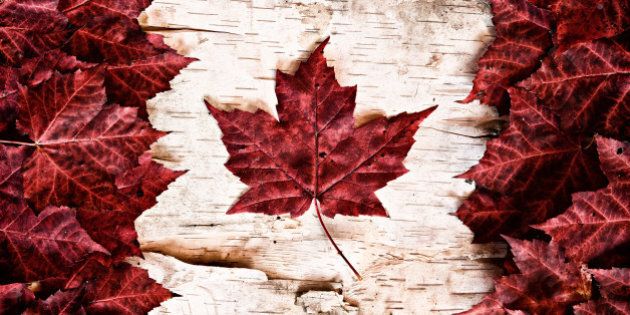 the image of the flag of canada ...