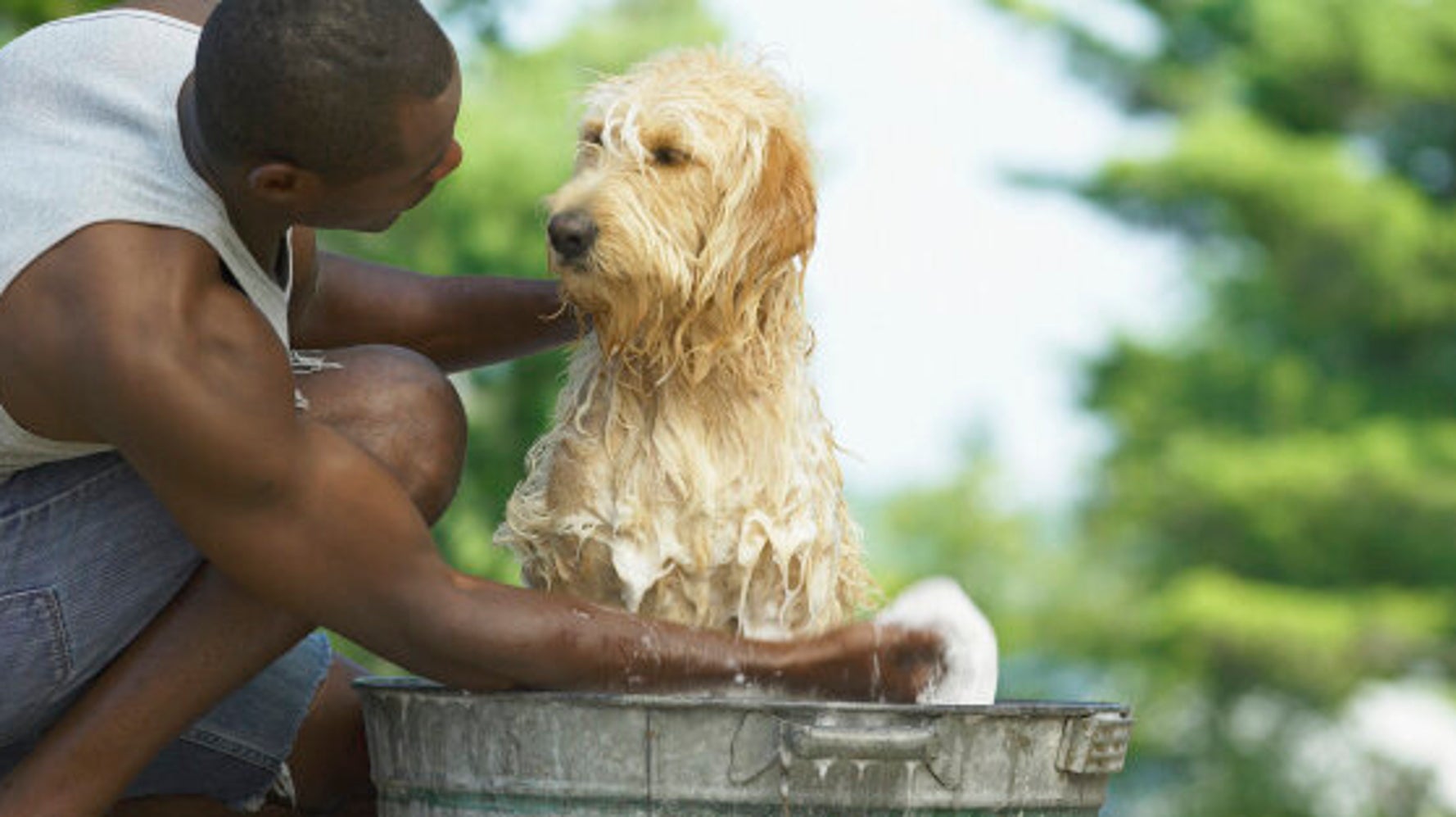 Votre Chien Ou Votre Chat A T Il Un Nom Original Faites La Recherche Huffpost Quebec Vivre