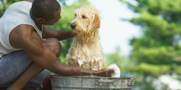 Man washing dog in metal tub