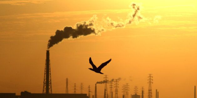 HIMEJI, JAPAN - NOVEMBER 21: A bird flies over the sea as smokes rises from the chimneys at the Kakogawa Industrial Area on November 21, 2015 in Himeji, Japan. The 2015 United Nations Climate Change Conference will be held in Paris from November 30 to December 11. The governments of 196 countries will meet to set targets on reducing carbon emissions in an attempt to forge a new global agreement on climate change. (Photo by Buddhika Weerasinghe/Getty Images)