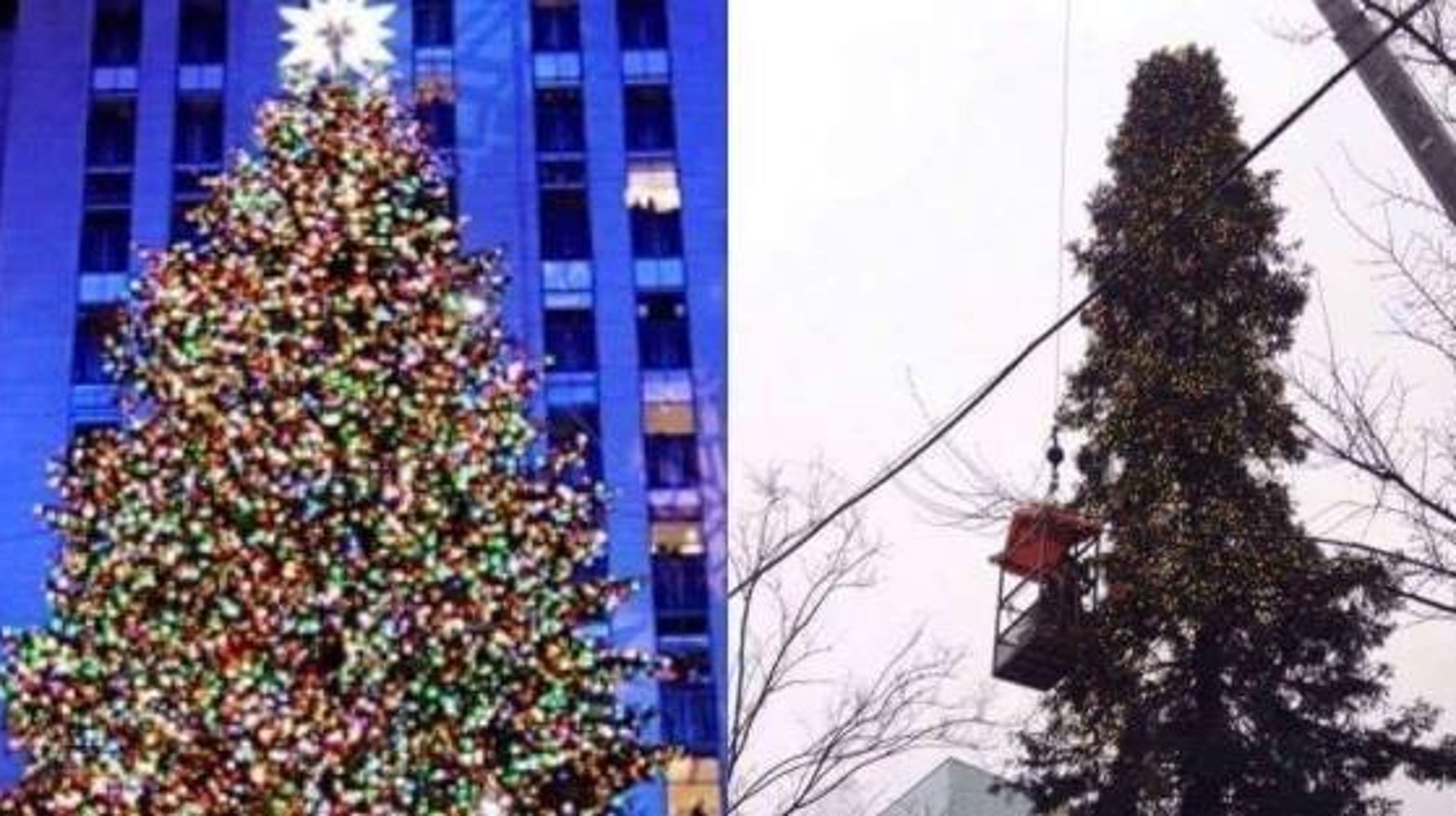 Le sapin de Noël de Montréal ridiculisé (VIDÉO) | HuffPost Nouvelles