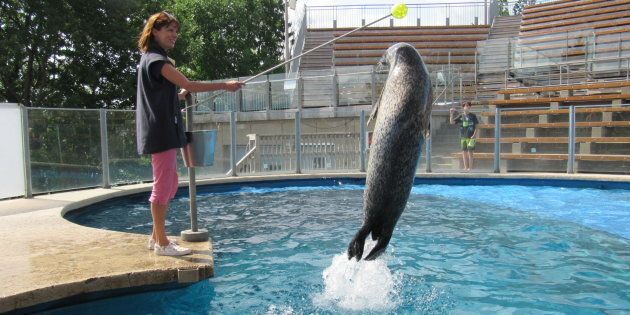 Aquarium du Québec