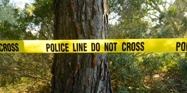 Crime scene in the forest with yellow police line do not cross tape