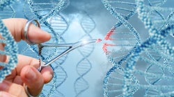 Pour la première fois des scientifiques ont modifié l'ADN d'un homme