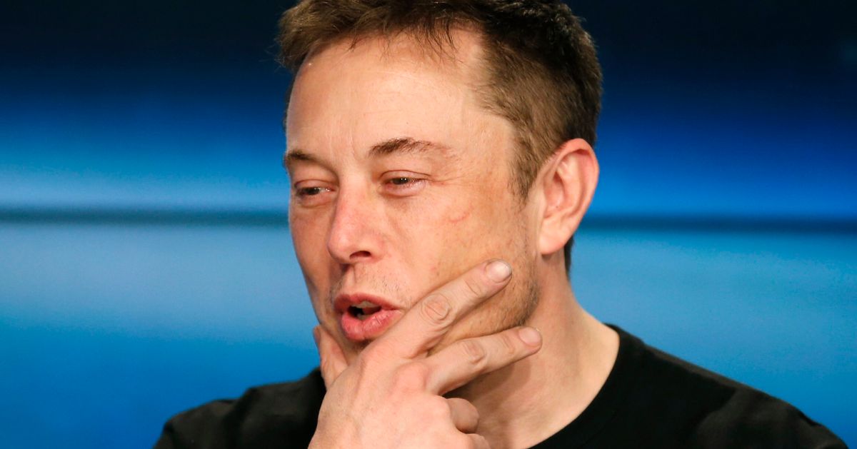 La Blague Delon Musk Fait Plonger Le Titre De Tesla En Bourse Huffpost Nouvelles