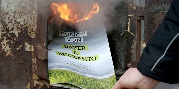 Un manifestant brûle un prospectus lors d'une manifestation contre la fusion du semencier Monsanto et de la société pharmaceutique Bayer à Bonn, en Allemagne.