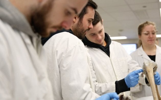 Les étudiants observent les mouvements articulaires sur le corps disséqué.