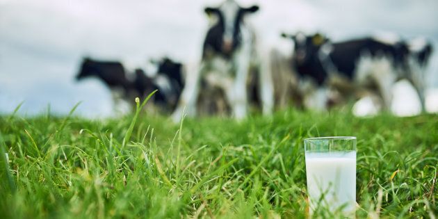 Les Canadiens ne veulent pas financer la production laitière avec leurs impôts. Et ils ne veulent pas non plus que les fermes familiales cèdent la place à des fermes industrielles de dizaines de milliers de vaches.