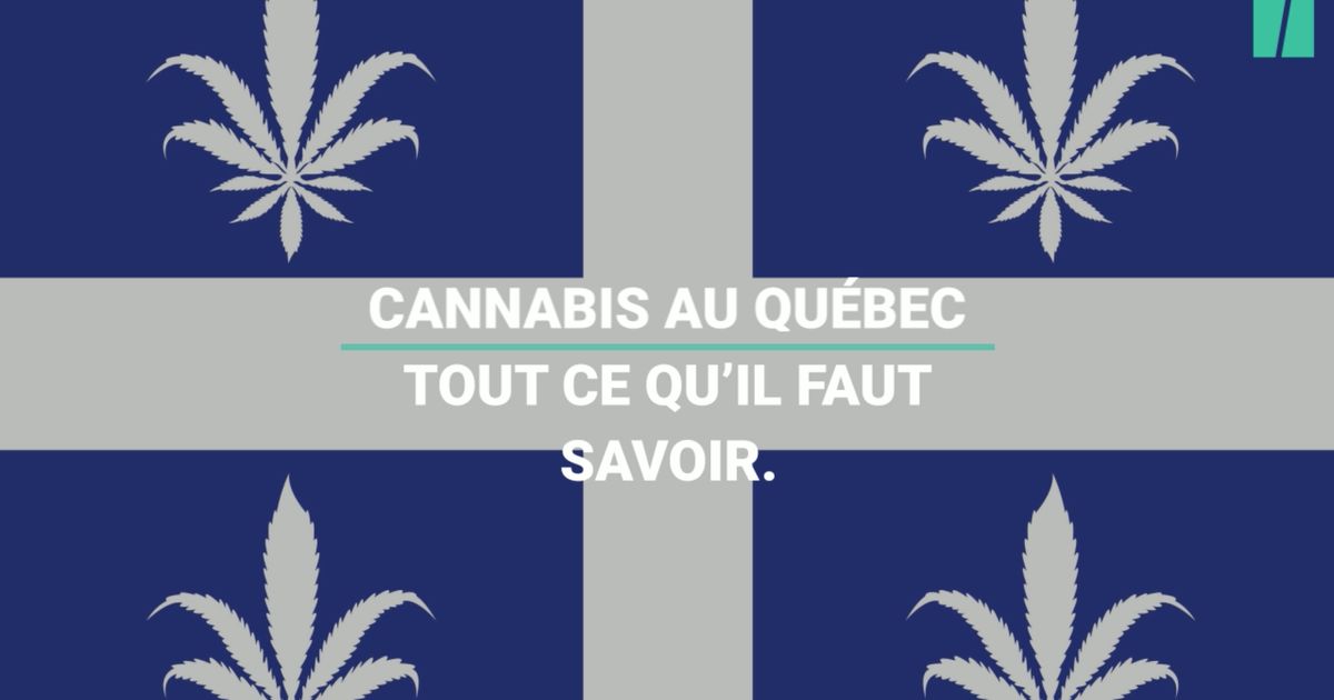 Légalisation Du Cannabis Au Québec Tout Ce Qu Il Faut Savoir Huffpost Nouvelles