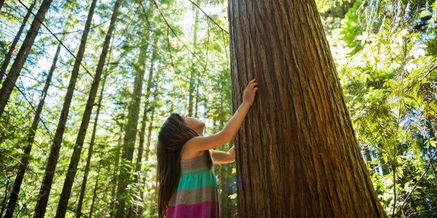 Nos jeunes, qui ont déjà hérité de cette énorme dette écologique et auront à la résoudre tout au long de leur vie, sont plus mobilisés que jamais.