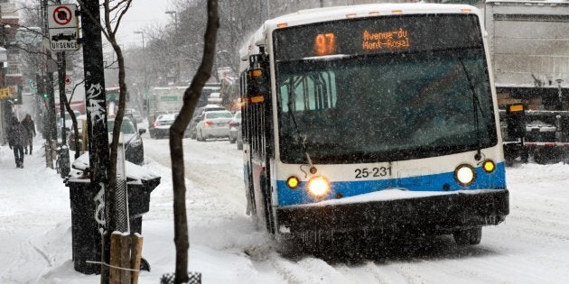 Un autobus de la Société de transport de Montréal sur l'avenue du Mont-Royal.