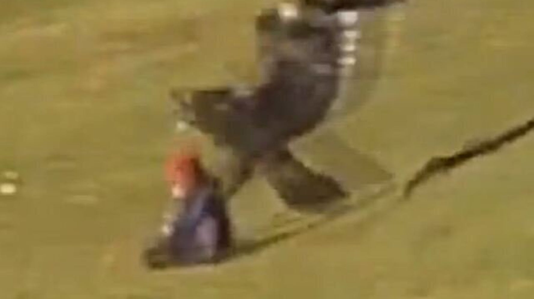 La Video Youtube D Un Aigle Royal Tentant D Enlever Un Enfant Sur Le Mont Royal Est Elle Fausse Video Photos Twitter Huffpost Null La Video Youtube D Un Aigle Royal Tentant D Enlever Un Enfant Sur Le Mont Royal Est Elle Fausse Video Photos Twitter Huffpost Null
