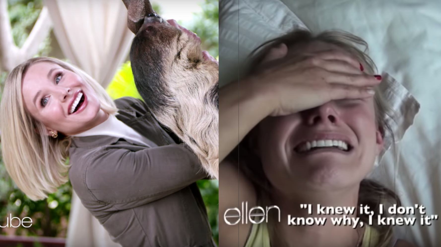 Sloth Ringing Bell Kristen Bell Reunites With A Sloth, Avoids Full-Blown Meltdown ...