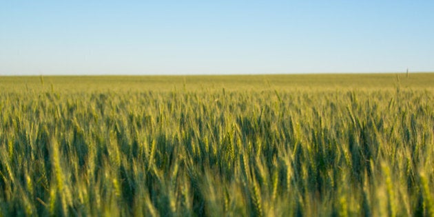 Stunning Imagery Of Australian Farms Will Inspire You To Take A Road