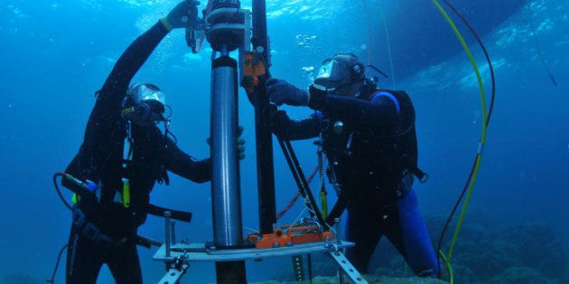 Scientists from AIMS (Australian Institute of Marine Science) taking core samples from brain corals on the Great Barrier Reef.