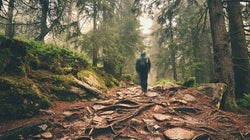 Nature's Wall of