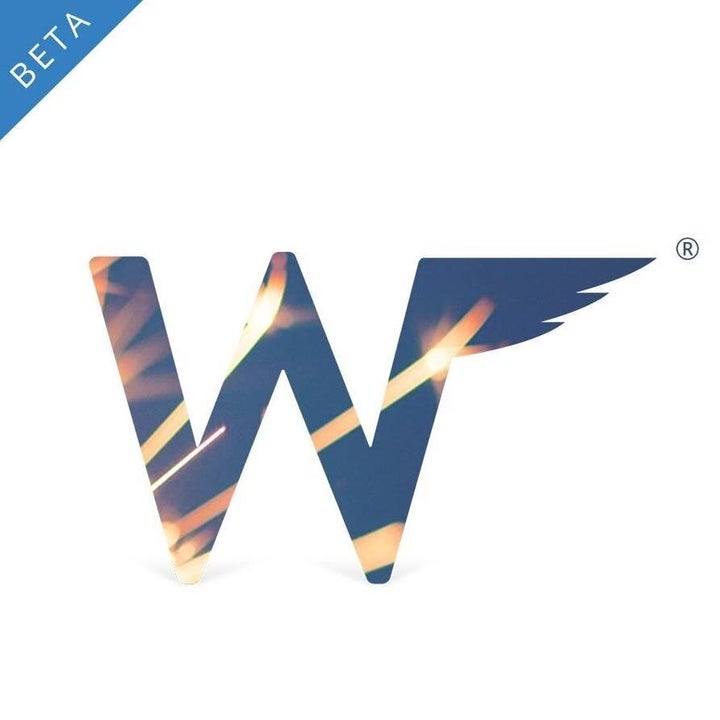 Wingman's flashy new logo.