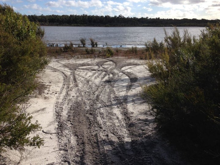 Track marks near Mt Lindesay, caused by illegal vehicle use.