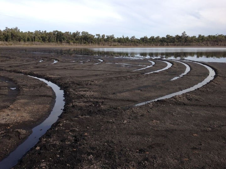 Previous damage also found to a peat lake bed in the Mt Lindesay National Park.