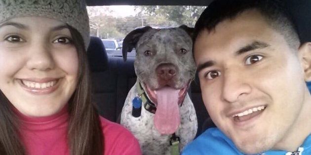 Rebecca and Juan “Frankie” Hernandez with their dog, Apollo.