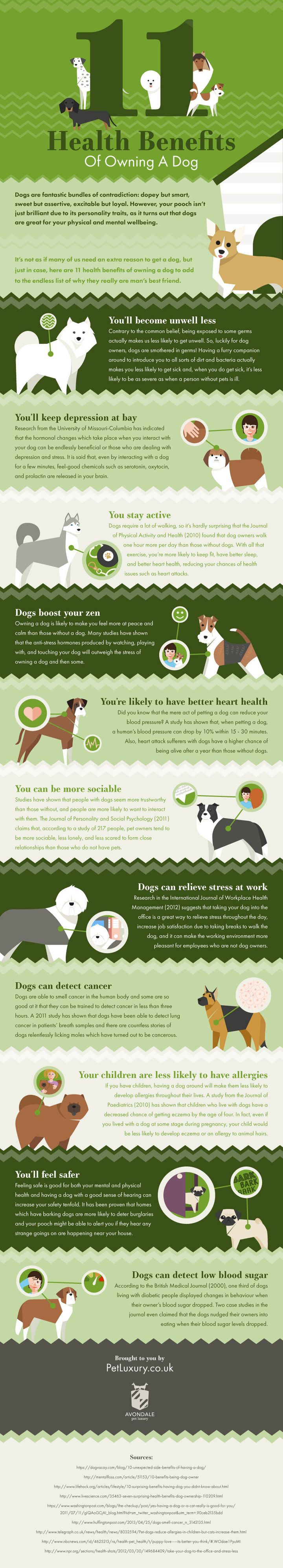 do dogs improve your health