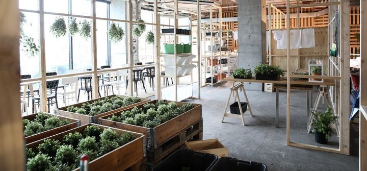 IKEA's interpretation of a sustainable home, with herb gardens and visible storage so food isn't hidden and forgotten.