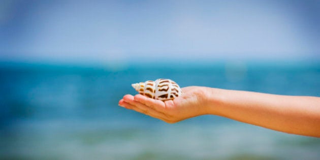 Child holding a shell