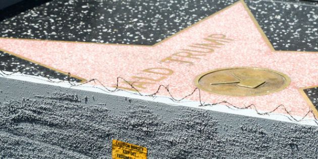 LA-based street artist Plastic Jesus erected a 6-inch concrete wall around Donald Trump's Hollywood Walk of Fame star on Tuesday.