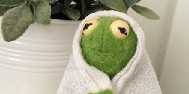 fuzzy kermit plush