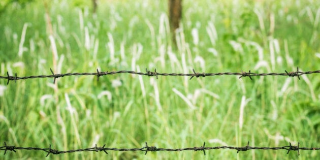 Barbed wire fence