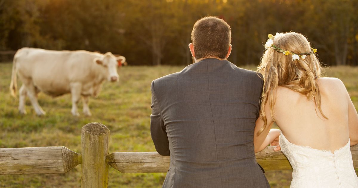 when-i-got-married-i-had-to-pay-for-my-wife-in-cows-huffpost-world