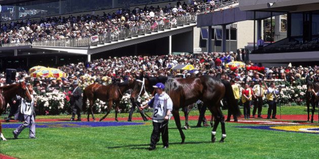 Horses in mounting yard, Hill Stand in b/g, Melbourne Cup Carnival, Melbourne, Victoria, Australia