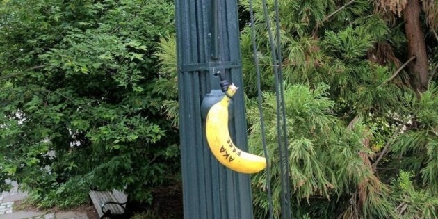 Photos of bananas hanging by nooses have been circulating online targeting targeted American University's chapter of Alpha Kappa Alpha Sorority.