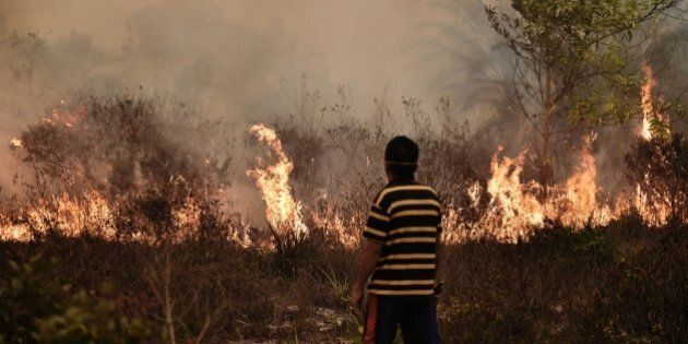 A villager looks at a peatland fire on the outskirts of Palangkaraya city, Central Kalimantan on October 26, 2015. For nearly two months, thousands of fires caused by slash-and-burn farming in Indonesia have choked vast expanses of Southeast Asia, forcing schools to close and scores of flights and some international events to be cancelled. AFP PHOTO / Bay ISMOYO (Photo credit should read BAY ISMOYO/AFP/Getty Images)
