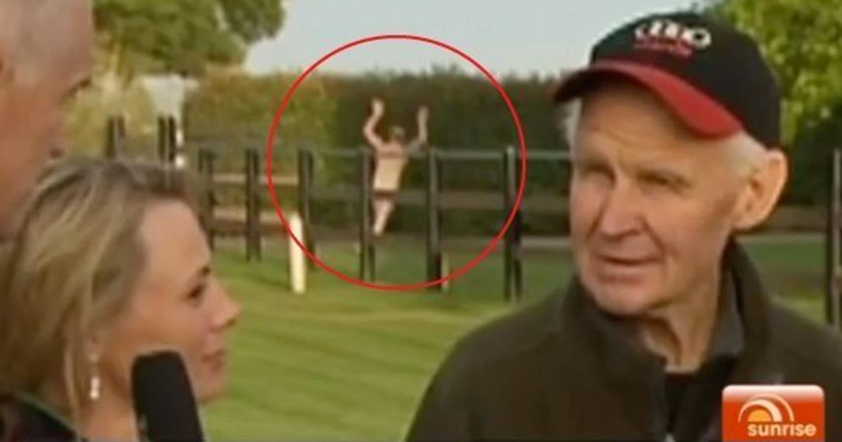 Streaker Crashes Sunrise S Melbourne Cup Tv Broadcast Huffpost News