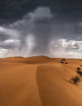 Cover - Rain over sand dunes, near Mungo, NSW
